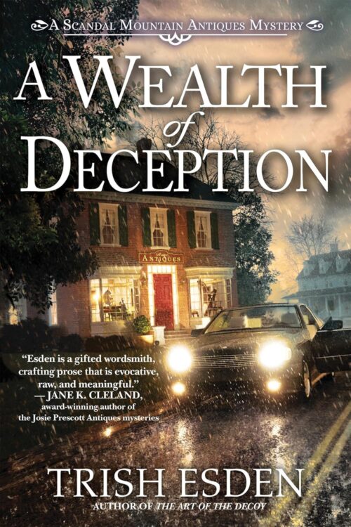 A Wealth of Deception (A Scandal Mountain Antiques Mystery)