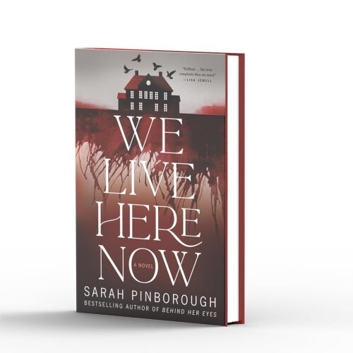 We Live Here Now: A Novel