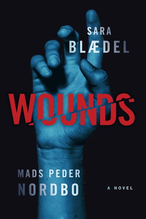 Wounds: A Novel